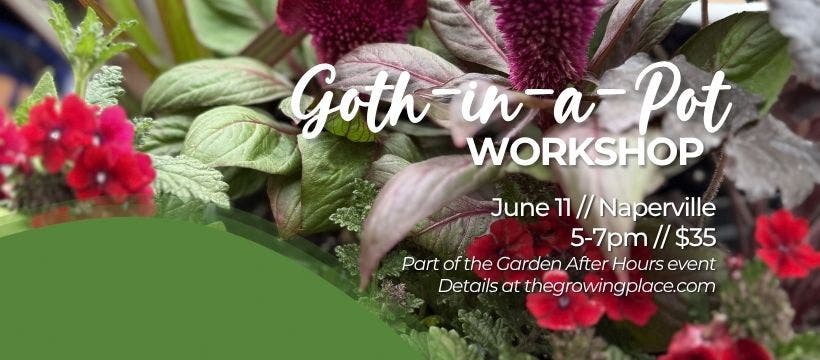 Goth-in-a-Pot Workshop