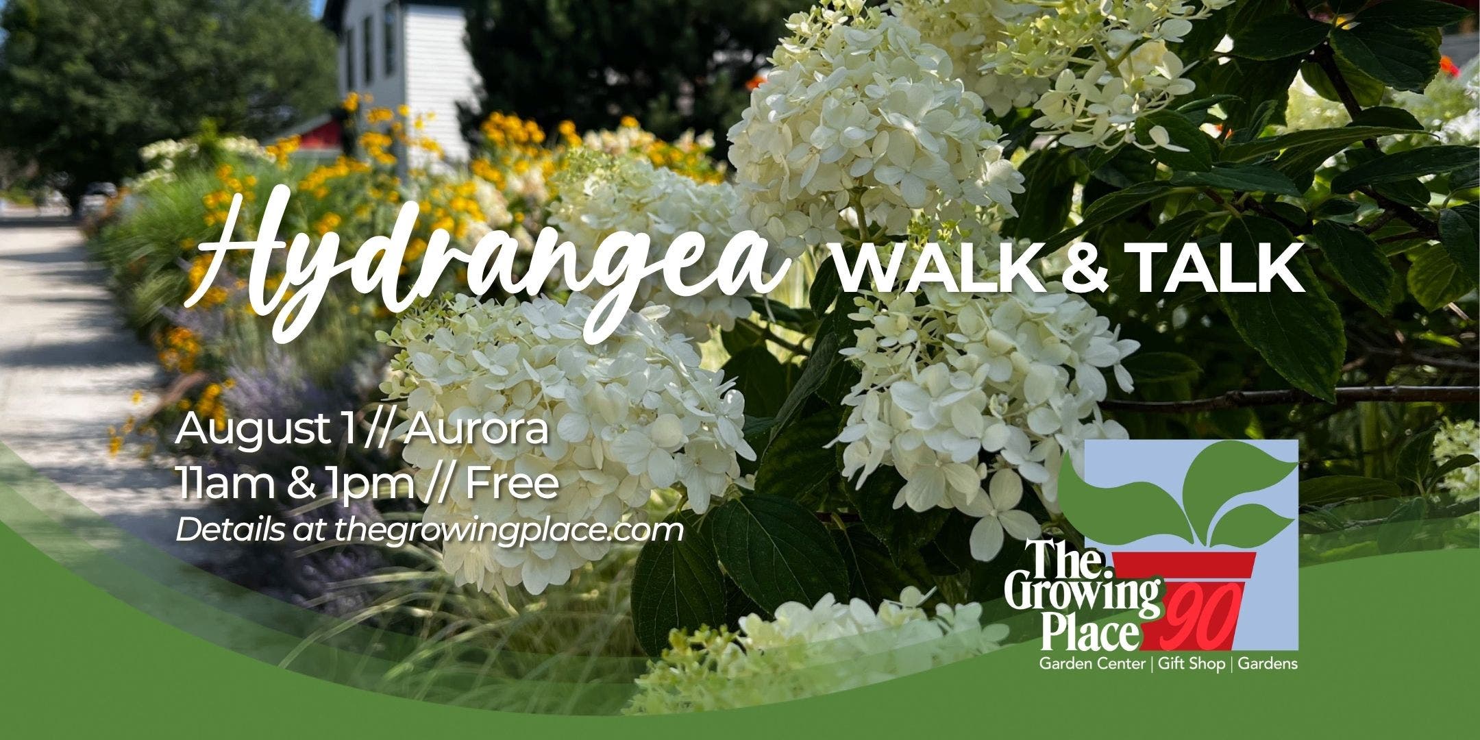 Hydrangea Walk & Talk - Aurora