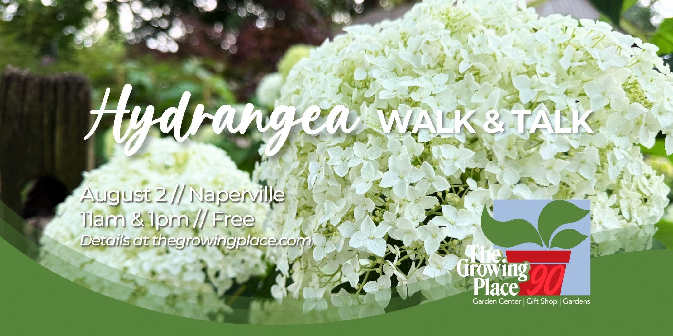 Hydrangea Walk & Talk - Naperville