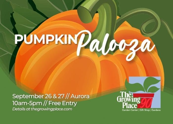 PumpkinPalooza!
