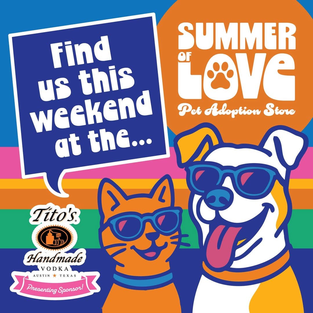 Adoptable Cats & Dogs: Summer of Love Adoption Event @The Avenue in White Marsh