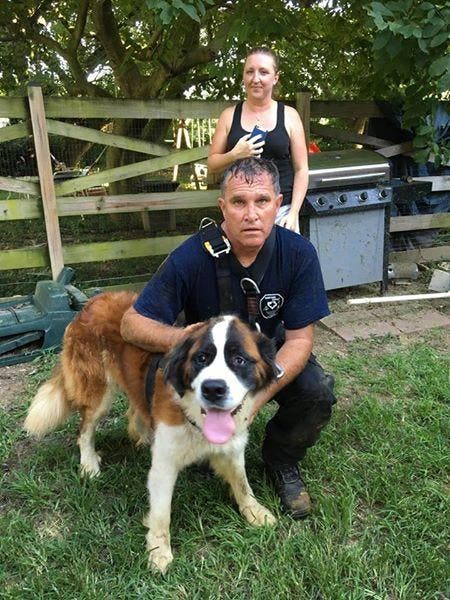 https://patch.com/img/cdn20/users/57041/20160814/111805/styles/raw/public/article_images/mabel_dog_rescue-1471230959-9276.jpg