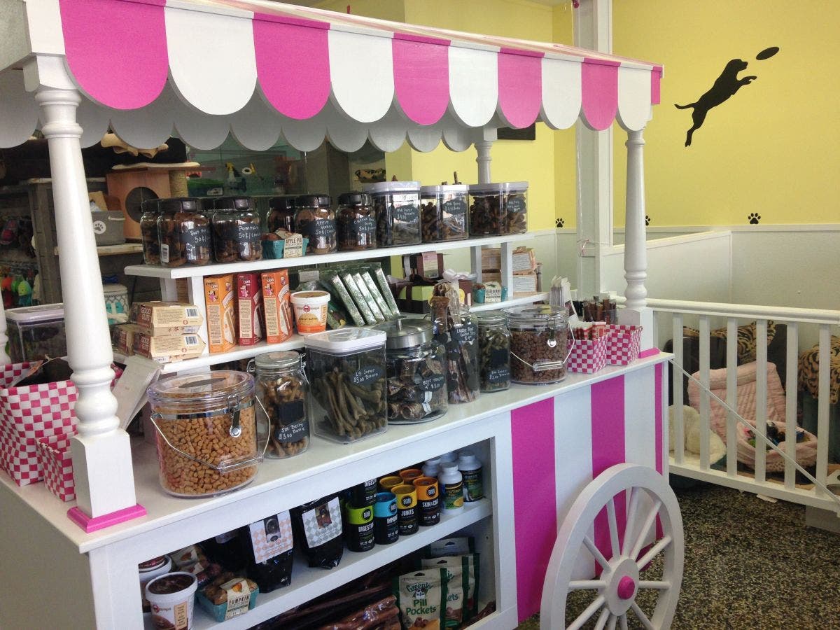 To Wag For Opens on Main Street in Bel Air Bel Air, MD Patch