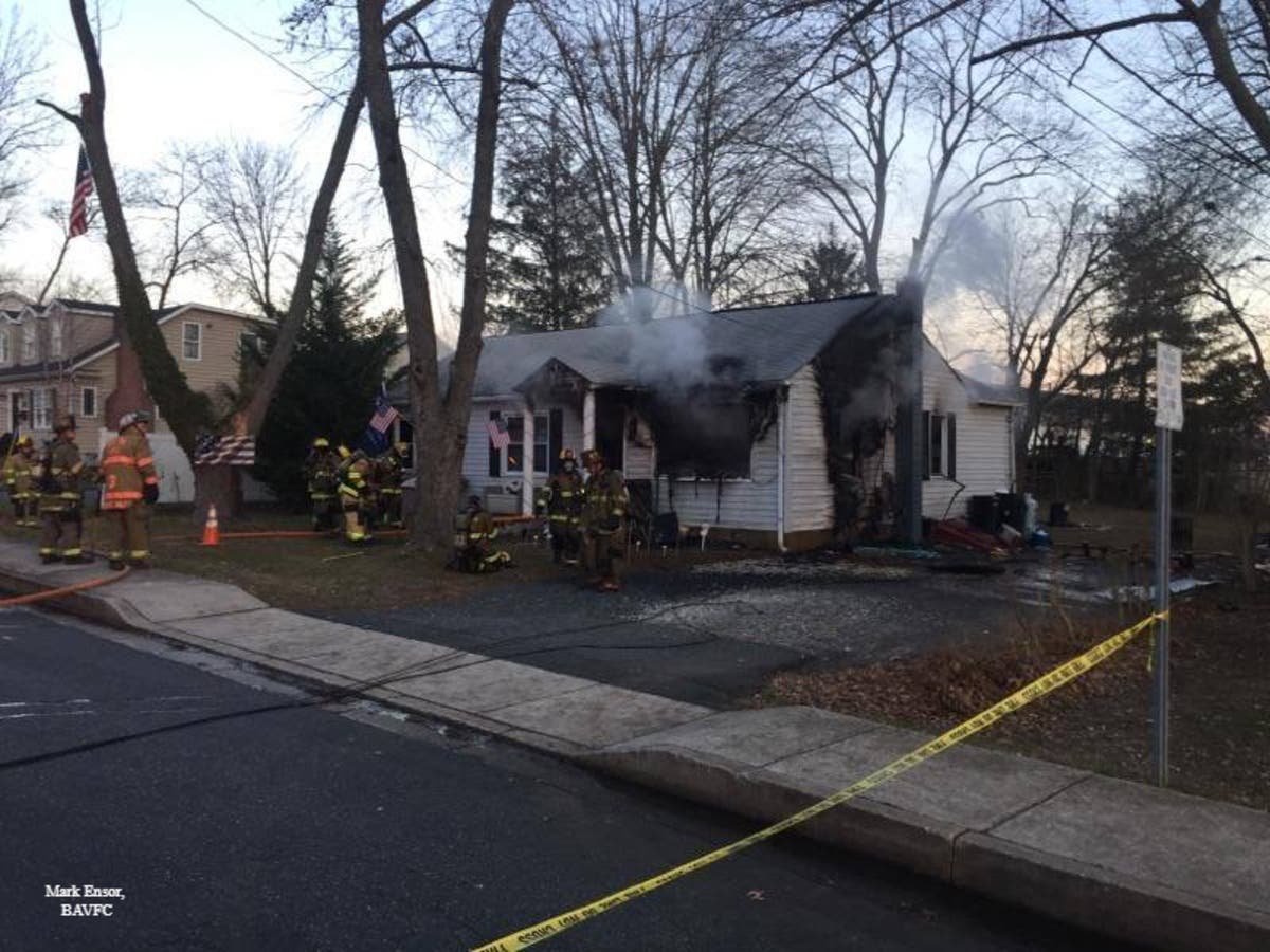 Cat Lost In Bel Air Blaze, Fire Marshal Says | Bel Air, MD Patch