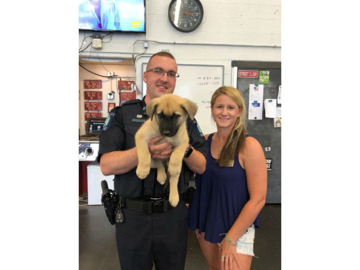 https://patch.com/img/cdn20/users/57041/20180625/022855/styles/raw/public/processed_images/deliah_bel_air_police_fire-1529951018-2597.jpg