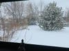 White Marsh