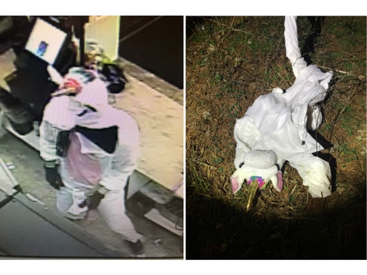 Police said this costume was donned by the suspect in an armed robbery at the High's store on Long Green Pike.