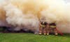 It took about 20 minutes to bring the Fawn Grove Road blaze under control, the fire marshal said.