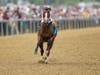 Bodexpress heads into the first turn after dumping jockey John Velazquez at the the start of Preakness.
