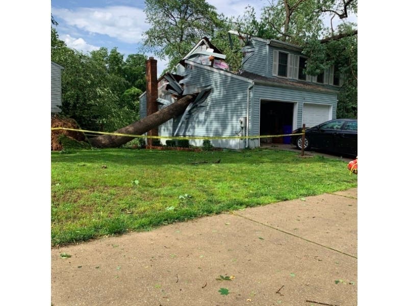 Officials said a tree crashed through a home in the 10200 block of Wayover Way, injuring one person.