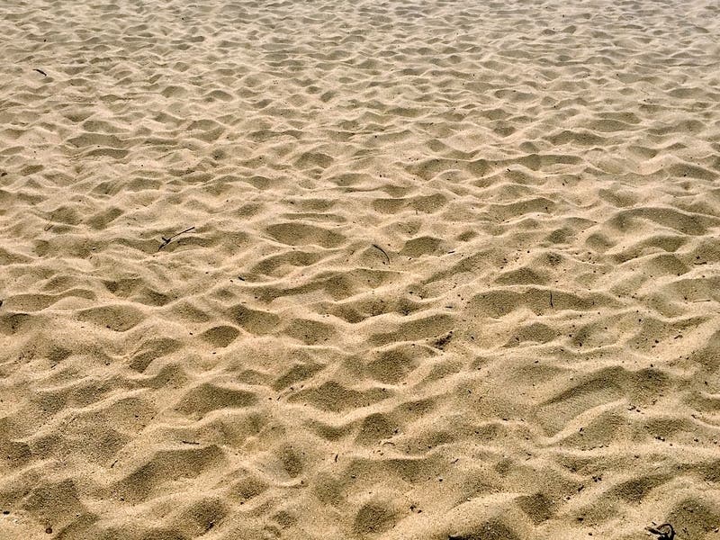 There's a guide to Maryland beaches online.