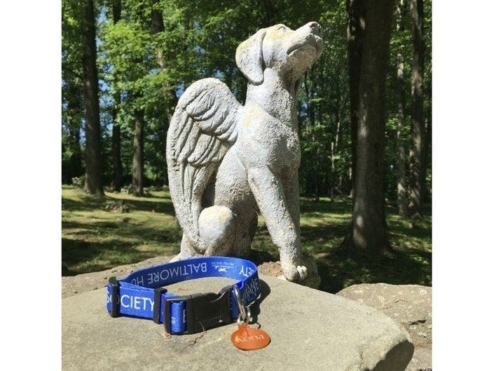 The Baltimore Humane Society in Reisterstown will hold a service for 27 dogs who died in an animal cruelty case.