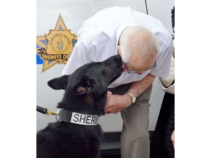 "Diogi certainly wanted to thank Mr. Storm!" the Harford County Sheriff's Office said.