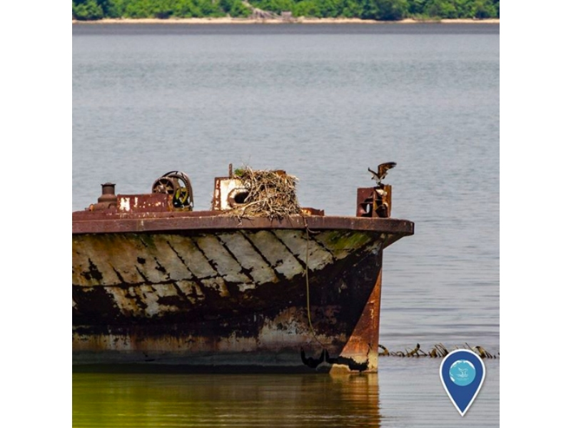 The Mallows Bay-Potomac River National Marine Sanctuary is in Charles County.