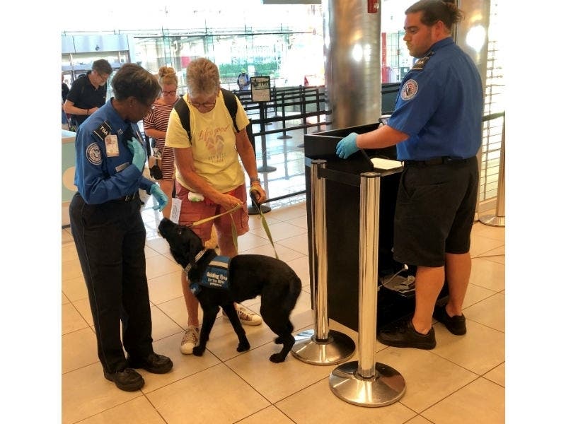 TSA officers screened more than two dozen guide dogs in training and their people July 15 during an orientation course.