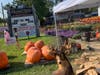 The Perry Hall Apple Festival is at Chapel Hills Farm and Nursery, 4350 Chapel Road, 