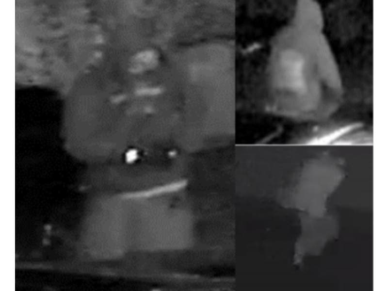 There were 19 thefts from vehicles from Aug. 8 to Oct. 3 in Fallston, officials said, releasing suspect photos from some of the incidents.