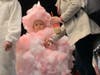 “Cotton Candy” was the overall winner of the costume contest.