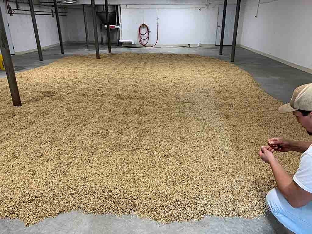 https://patch.com/img/cdn20/users/57041/20191105/045709/styles/patch_image/public/floor-malting___05163833345.jpg