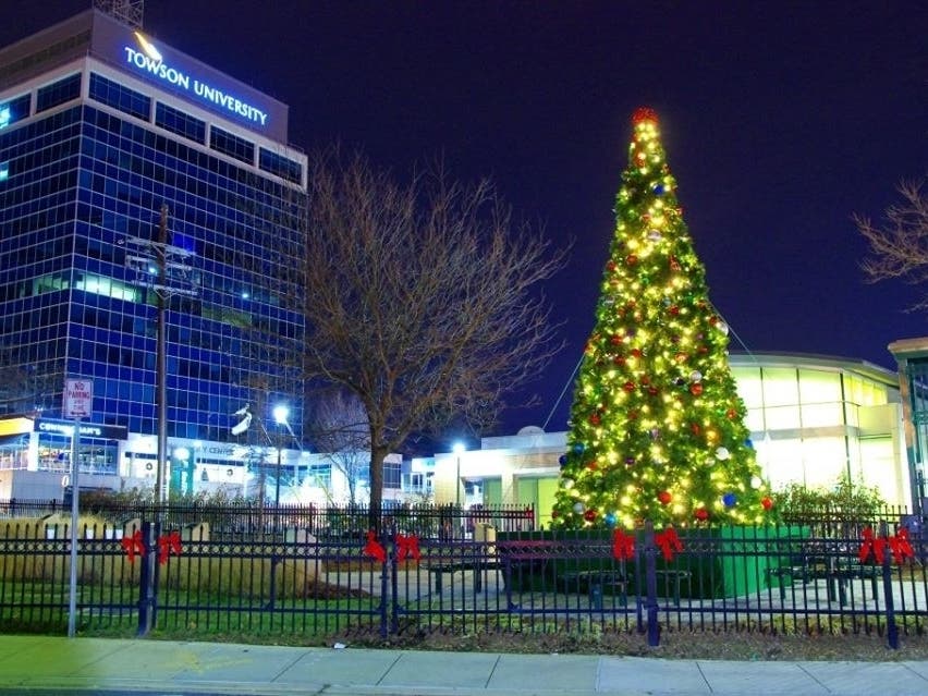 This year the tree's lights will be LEDs.