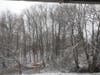 Reisterstown saw 1.4 inches of snow Monday, Dec. 16, based on preliminary National Weather Service data.