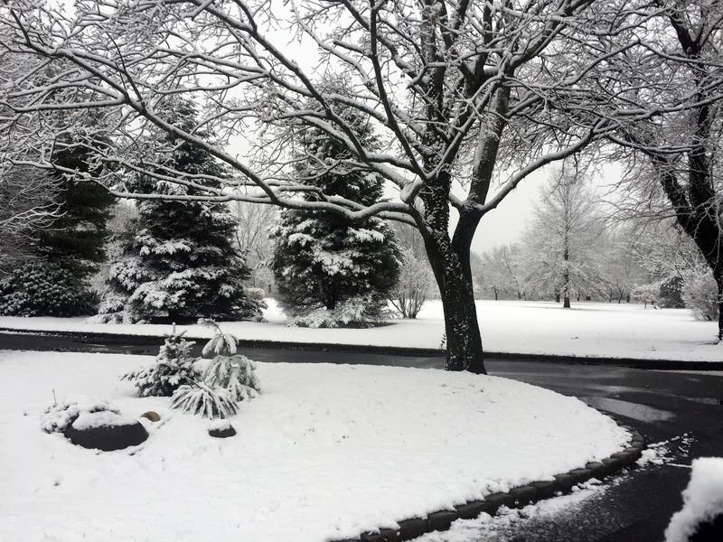 Roads may become snow-covered during the Tuesday afternoon and evening commute in parts of Maryland, according to forecasters.