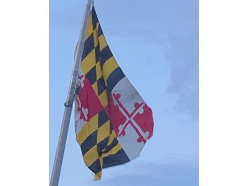 Maryland Gov. Larry Hogan ordered all bars, restaurants, gyms and movie theaters to close by 5 p.m. Monday. Drive-thru and carry-out dining may continue.