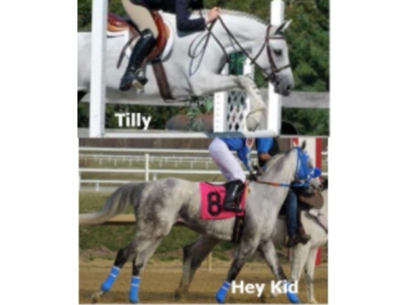 Chantilly "Tilly" Lace and Hey Kid were found dead Friday, Sept. 25.