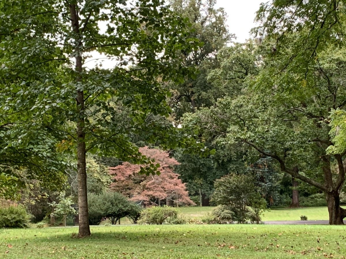 A private developer named Liriod LLC has requested annexation of more than an acre of land next to the Liriodendron mansion so that homes could be built on three lots.