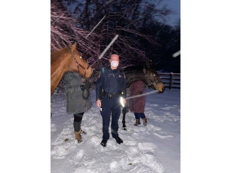 Officers handled dozens of calls for service during the snowstorm in Baltimore County. One case involved a pair of loose horses.