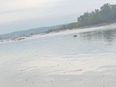 A boater ran aground in the Susquehanna Flats Saturday, May 1.