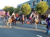 Horses paraded down Main Street for the Bel Air Independence Day Parade on Sunday, July 4.