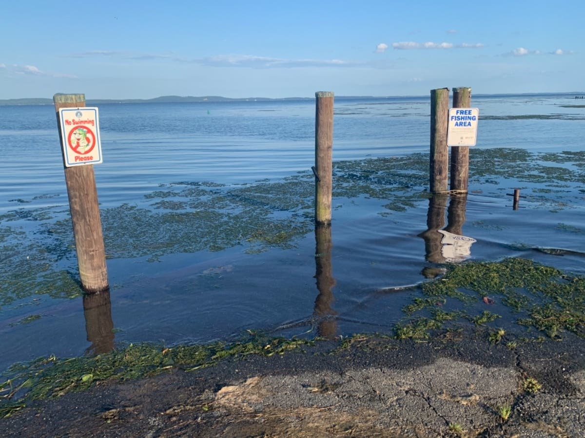 Hazards like logs and other debris may be mixed in with extra boat traffic this holiday weekend from Tropical Depression Ida.