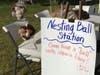 Make a nesting ball for the birds