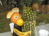 Edible Animal Contest August 3rd