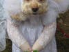 Sadie came as a  bride at a previous Halloween Pet Parade