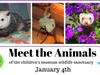 Learn what's special about the wildlife sanctuary animals.
