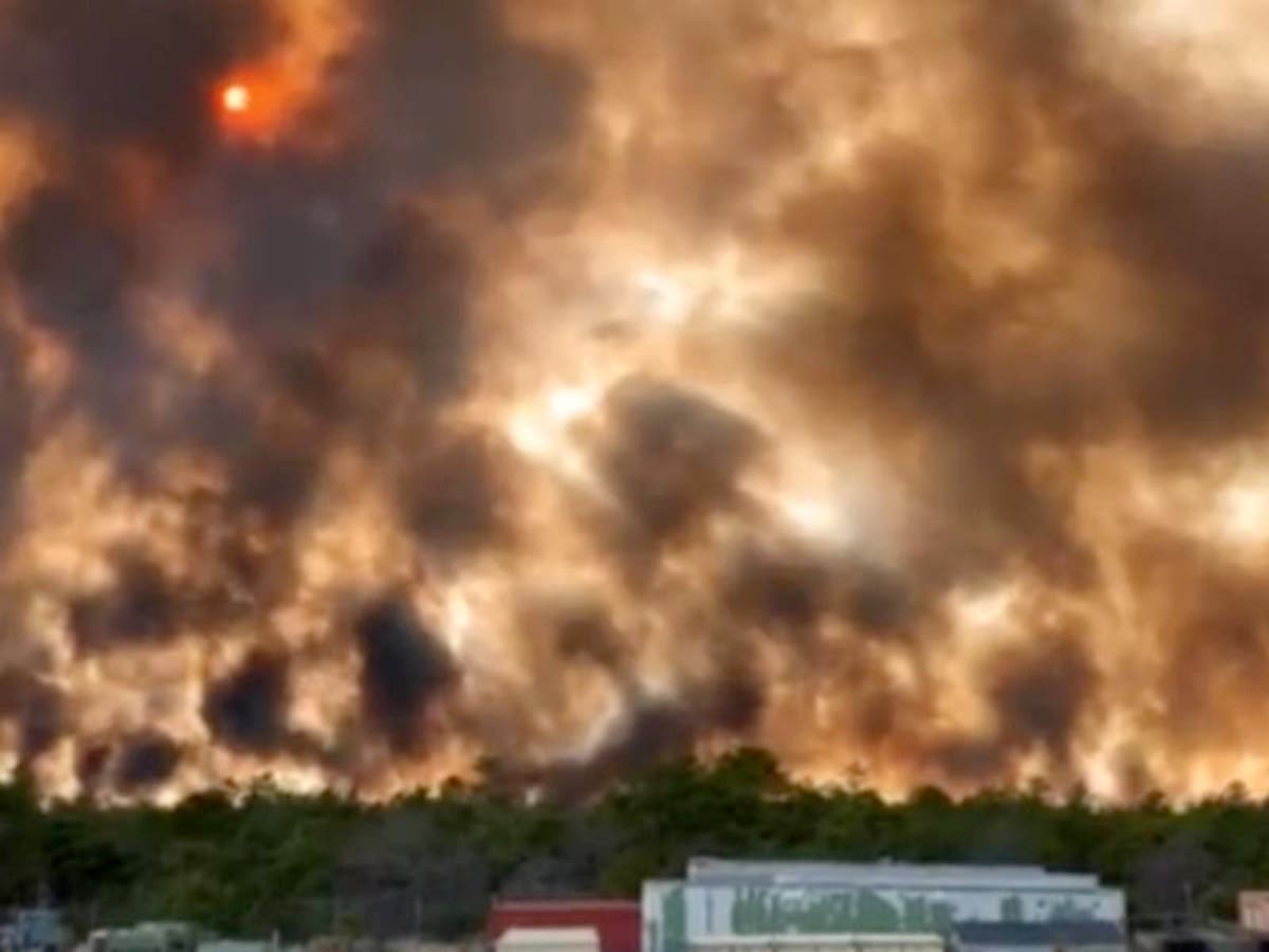A forest fire has broken out in the Barnegat, New Jersey, area, officials said.