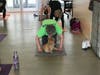 Cat Yoga allows felines and humans to interact at the Dutchess County SPCA.