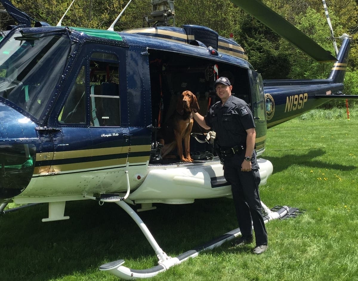 From left, Tilly and Trooper Bell.