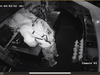 Police are looking for a suspect in a burglary at a Pleasant Valley restaurant.