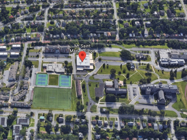 Mount Saint Mary College in Newburgh will move classes online temporarily in response to concerns about the new coronavirus.