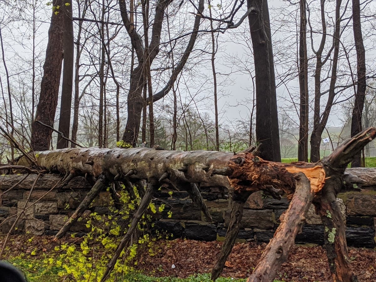 A tree fell on Route 9 near the Sleepy Hollow Country Club Monday, April 13, 2020, during heavy rain and high wind gusts.