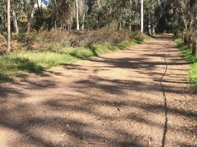 Rockland County had closed its parks but decided to reopen them.