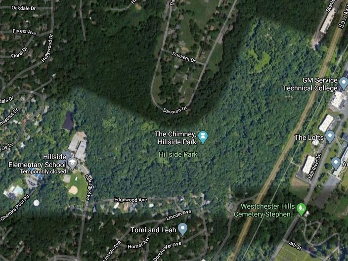 A black bear has been spotted around Hastings-on-Hudson, police said.