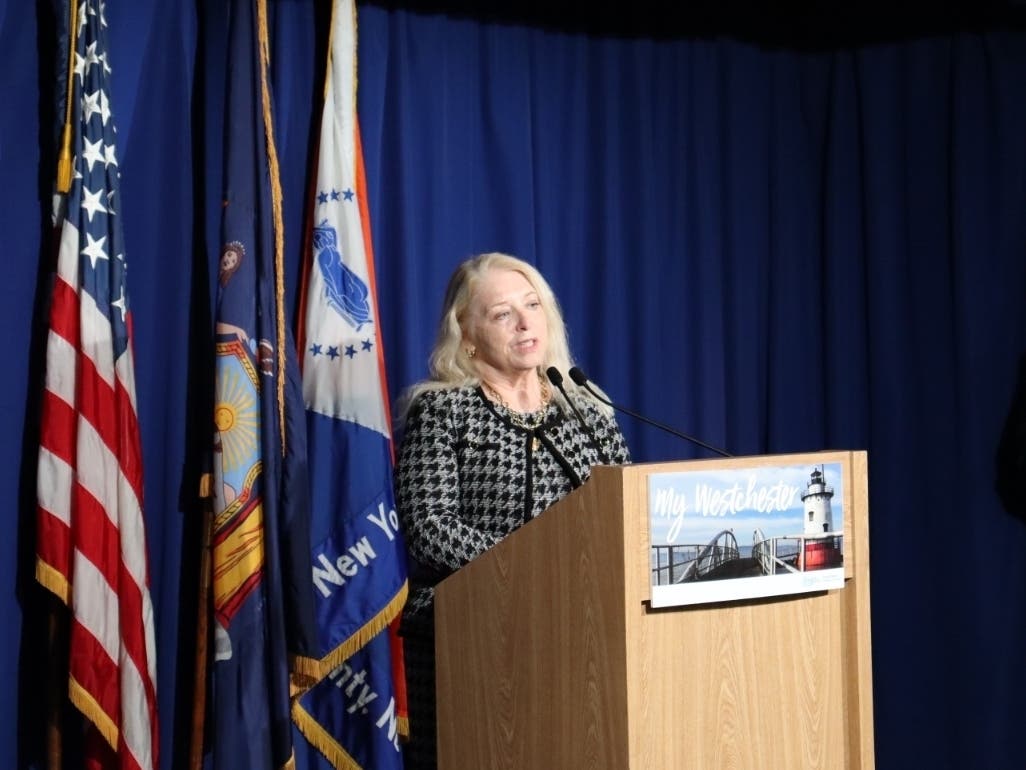 Dr. Sherlita Amler, the Westchester County health commissioner, spoke about reports of people having parties where people had to test negative for the coronavirus to participate.