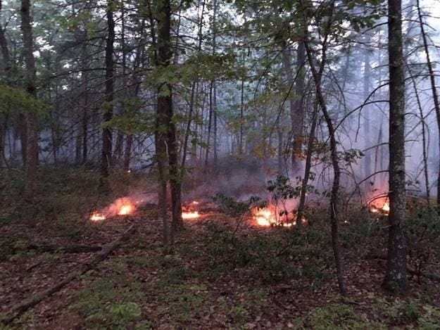 The Department of Environmental Conservation forest rangers battled a wilderness fire on the Mohonk Preserve property.