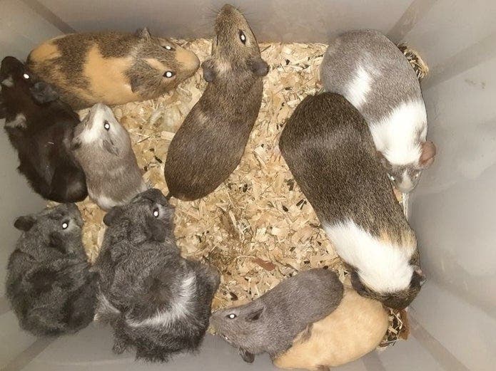 Here is a roundup of news of the day to get conversations started.