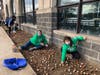 Volunteers planted more than 2,000 tulips Sunday at New Rochelle High School.