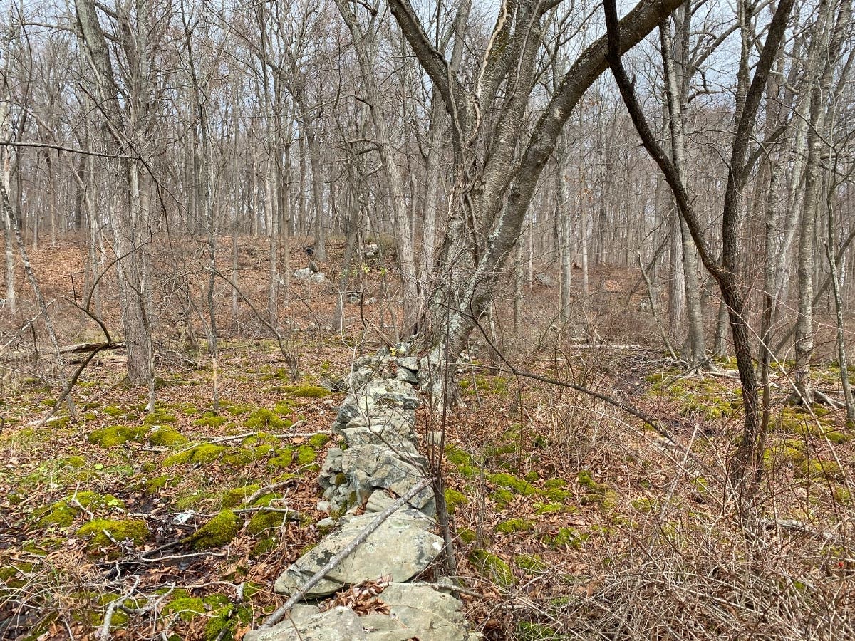 Twenty-seven acres of land in Bedford have been permanently protected by the Westchester Land Trust.